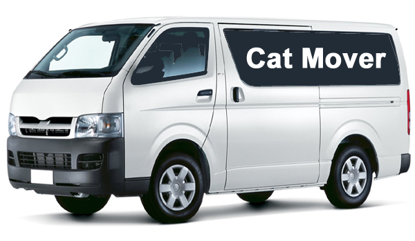 Cat Mover