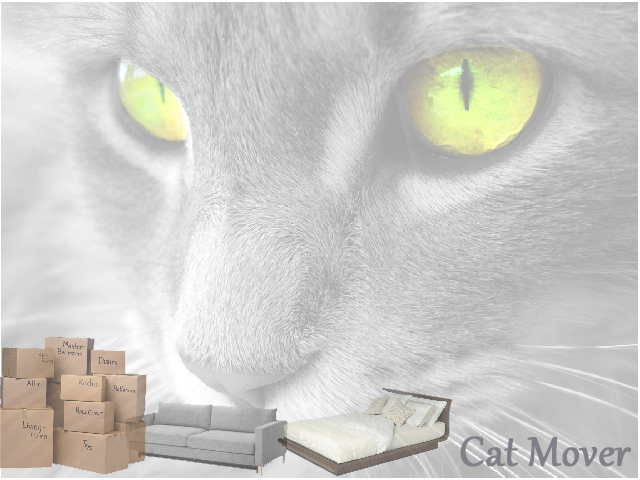 Cat Mover